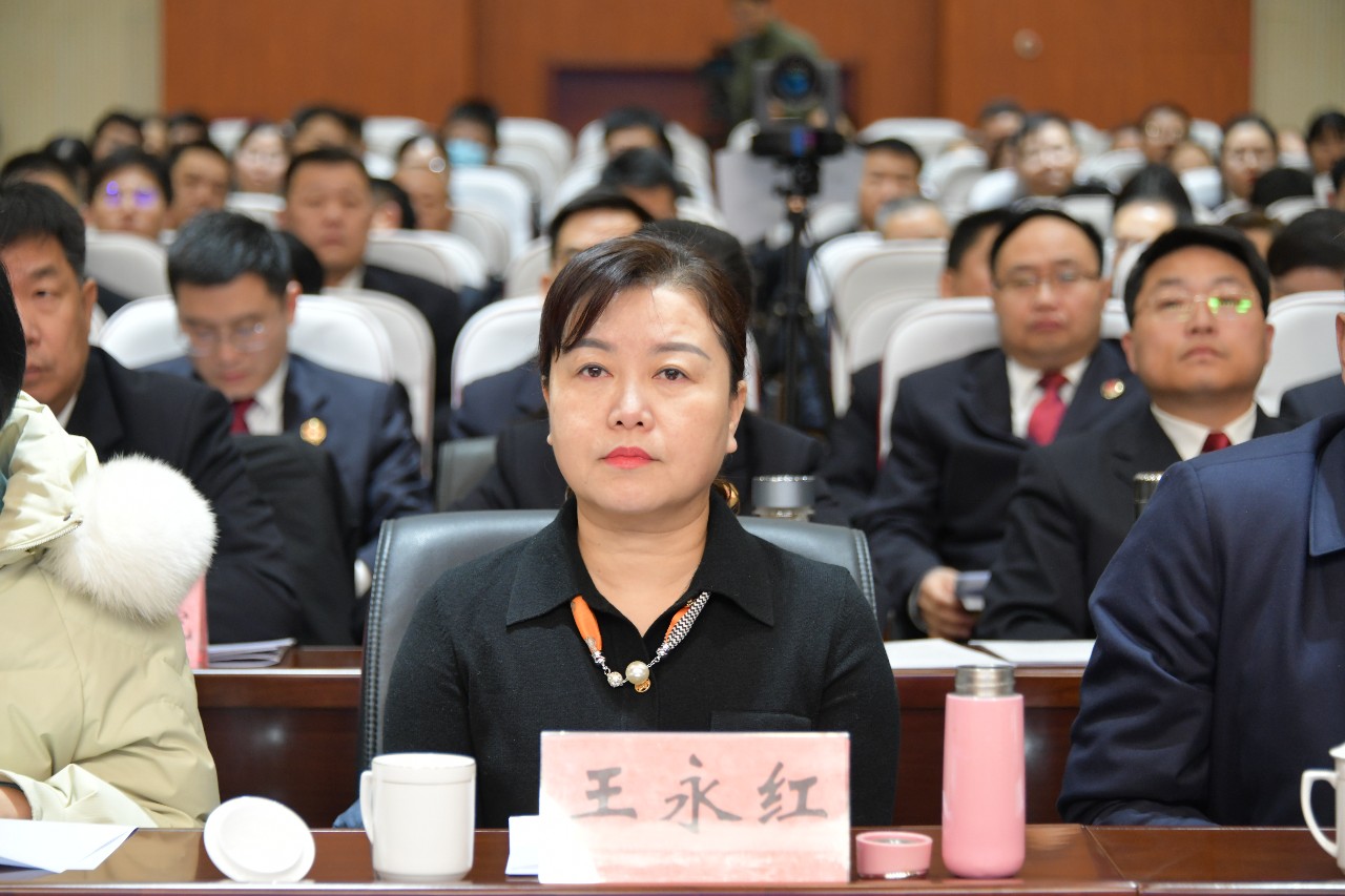 全市检察长会议 | 全国人大代表王永红：我看到了会议背后检察工作的无限潜力